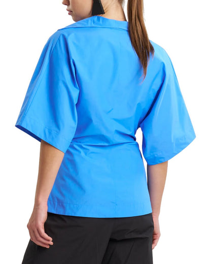 ASB-ASTER BLUE-