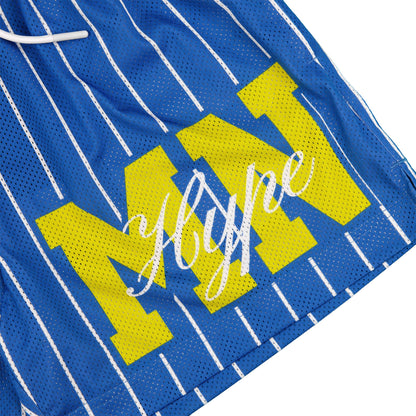Common Hype Statement Pinstripe Mesh Short Royal Blue