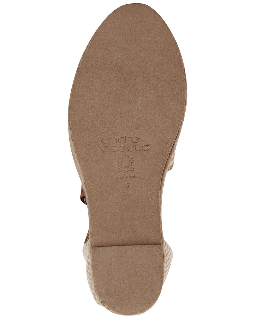 CAMEL MULTI-