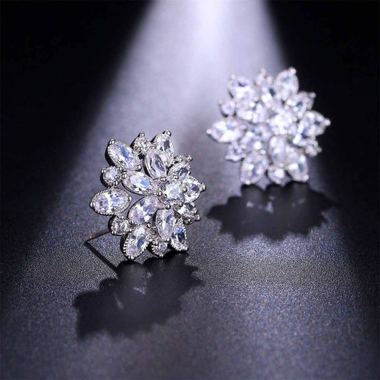 Cubic Zirconia & Crystal Silvertone Snowflake Stud Earrings