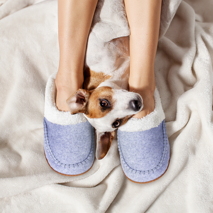 Born Ladies Felted Moccasin Slippers (Sanded Heather, Small)