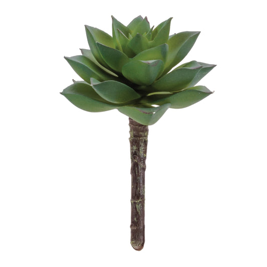 Melrose International Succulent Plant Pick (Set of 12)