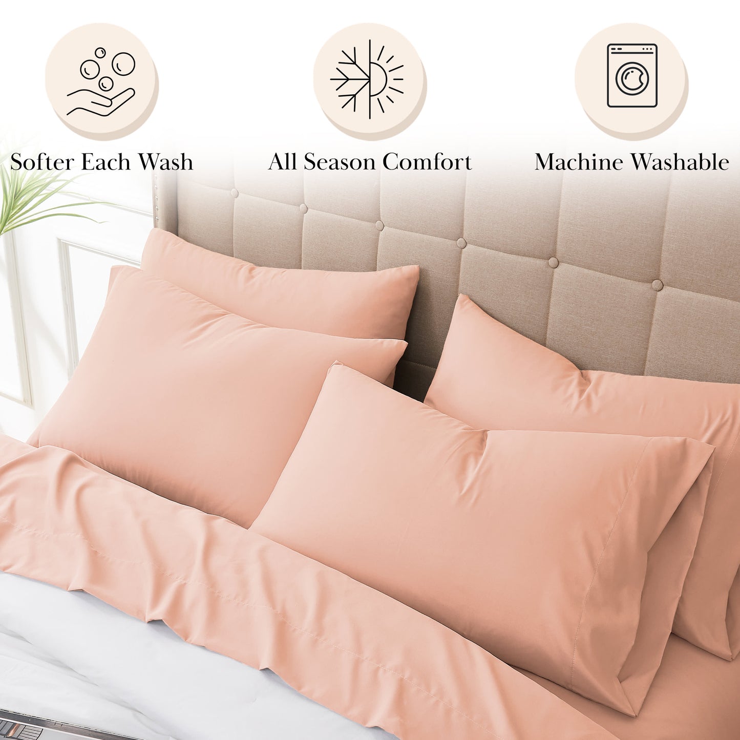 Blush-