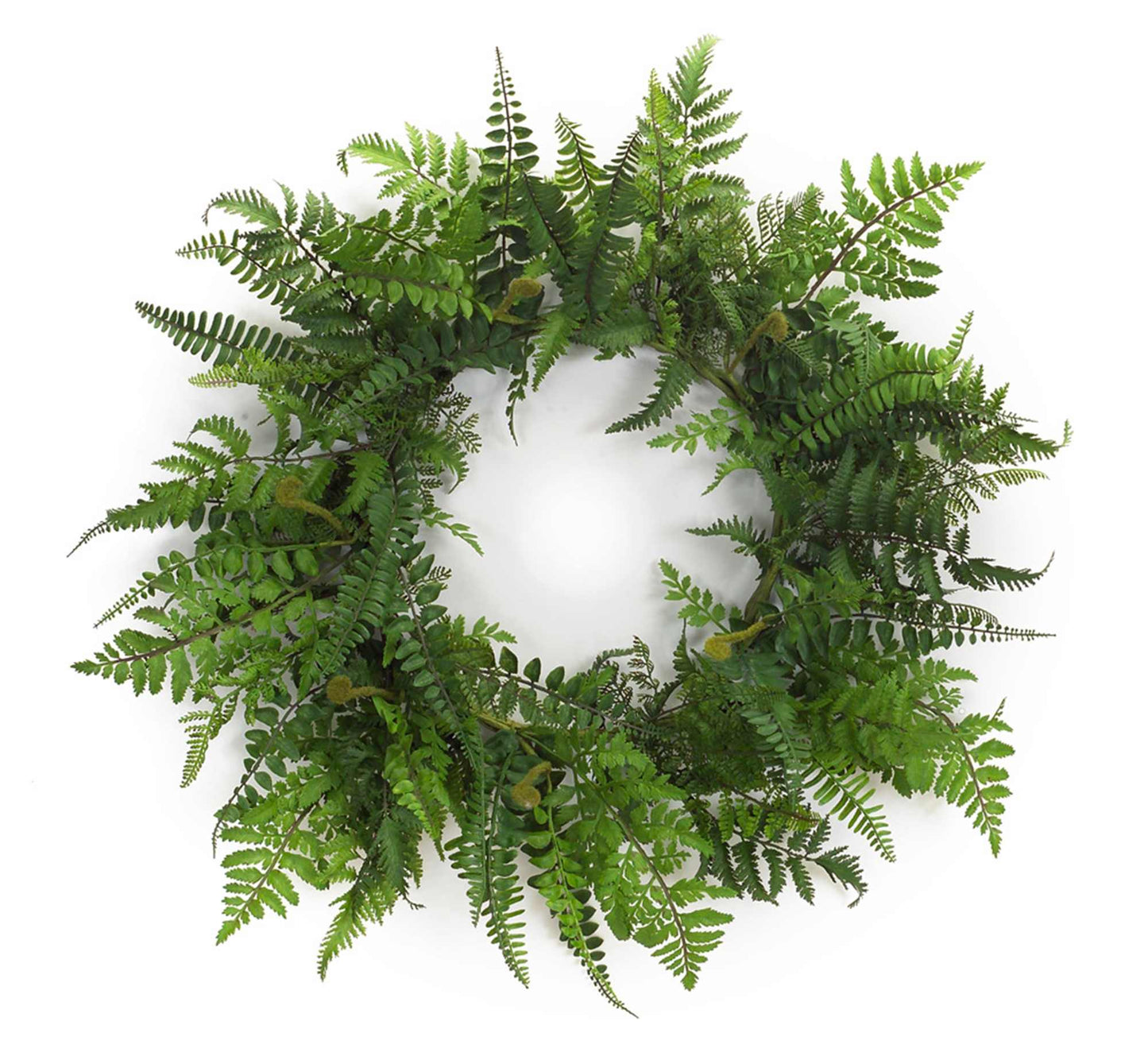 Melrose International Mixed Fern Grapevine Wreath 24"D