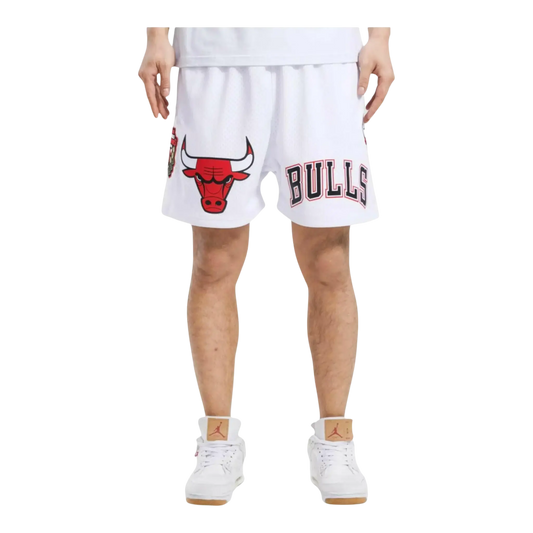 Pro Standard NBA Chicago Bulls Logo Men Mesh Shorts White
