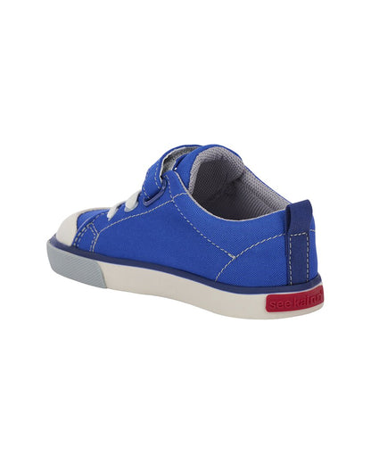 KELLY BLUE-