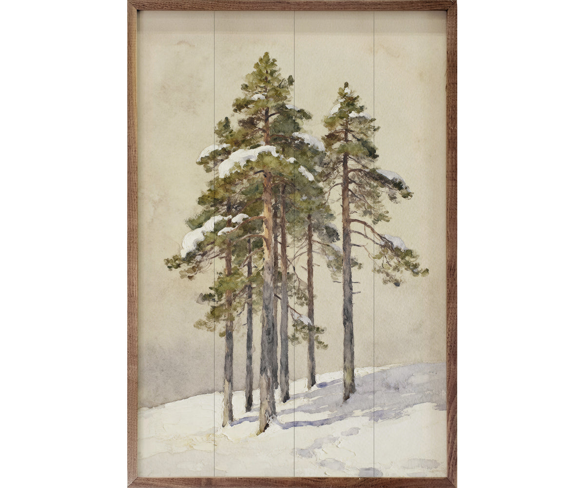Kendrick Home Group Of Cedar Trees