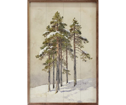 Kendrick Home Group Of Cedar Trees