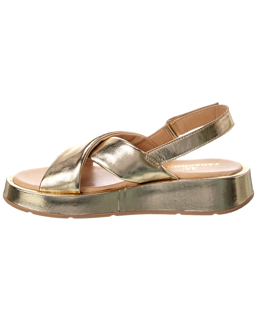 24 Gold leather-