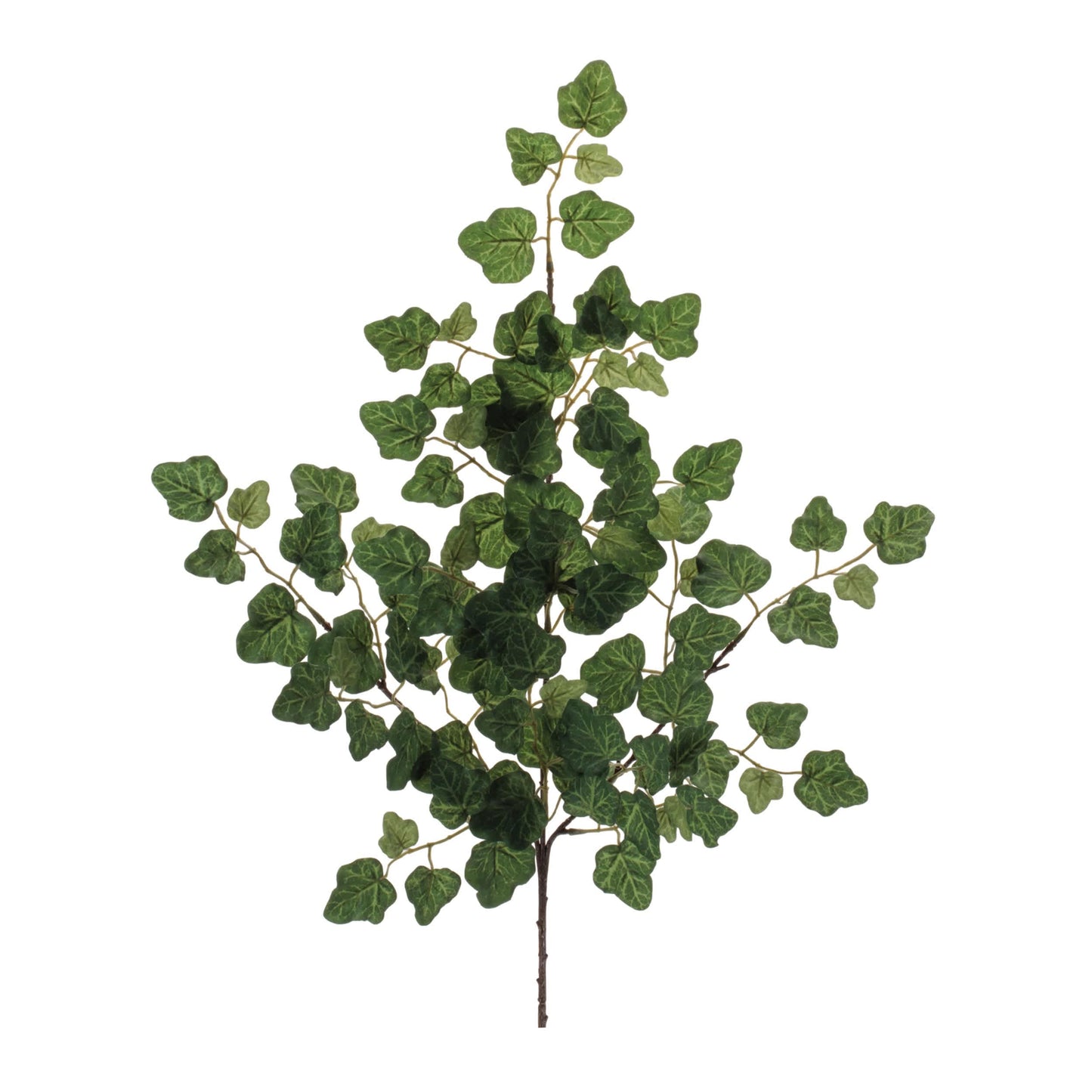 Melrose International Ivy Foliage Spray (Set of 6)