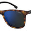 Black/Brown/Blue