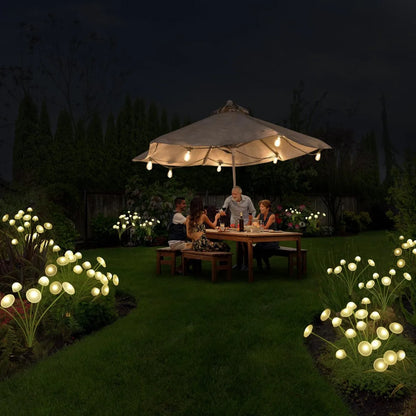 Warm Light-