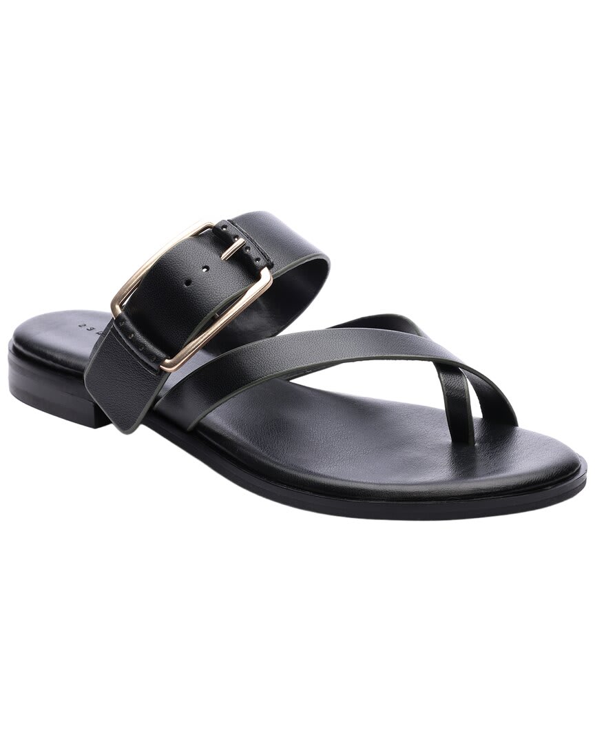 BLACK-