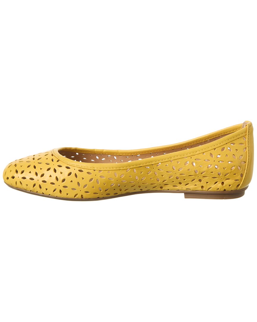 Yellow-