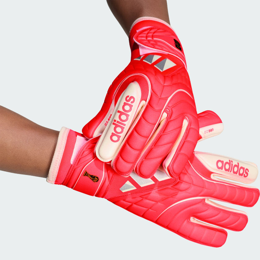 Solar Turbo / Ivory-