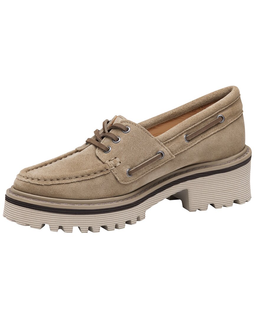 TAUPE-