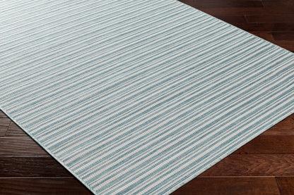 Greg Teal Outdoor Area Rug - Clearance