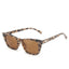 Brown Tortoise Shell