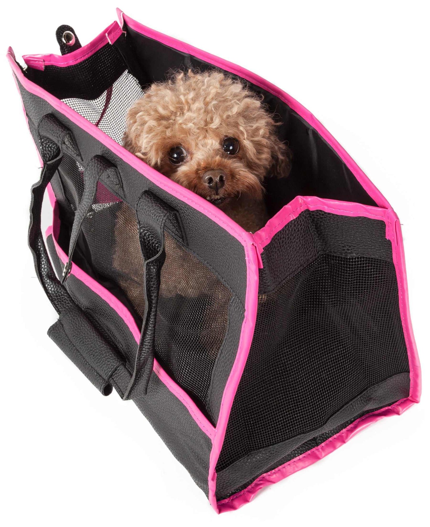 Black & Pink-