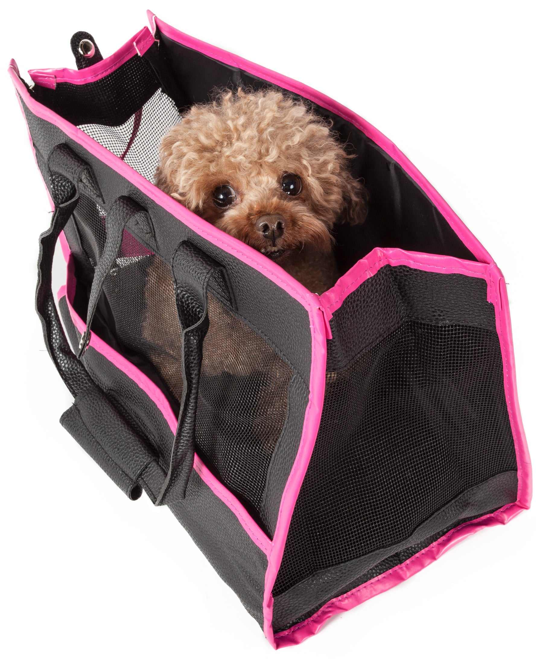 Black & Pink-