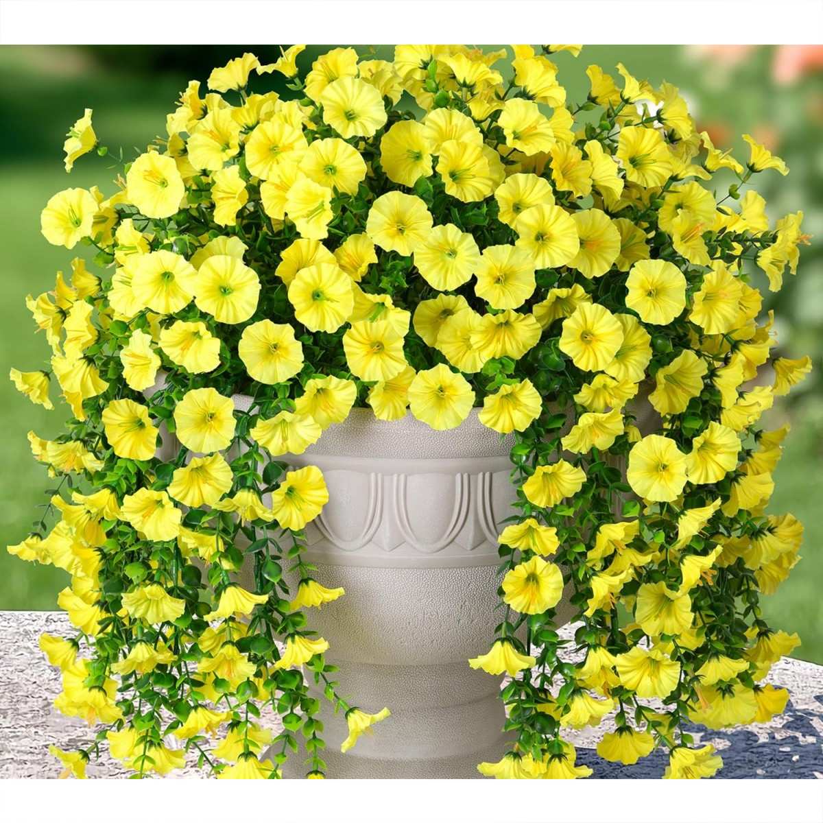 Yellow-