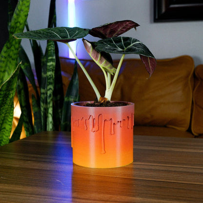 Drip Planter