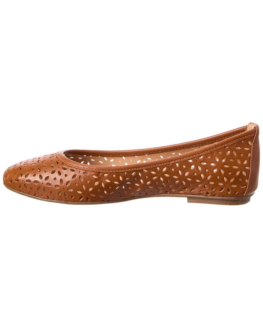 Cognac-