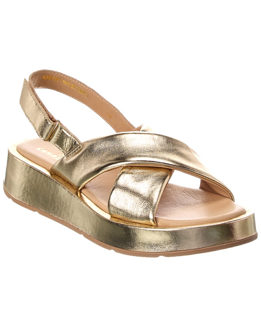 24 Gold leather-
