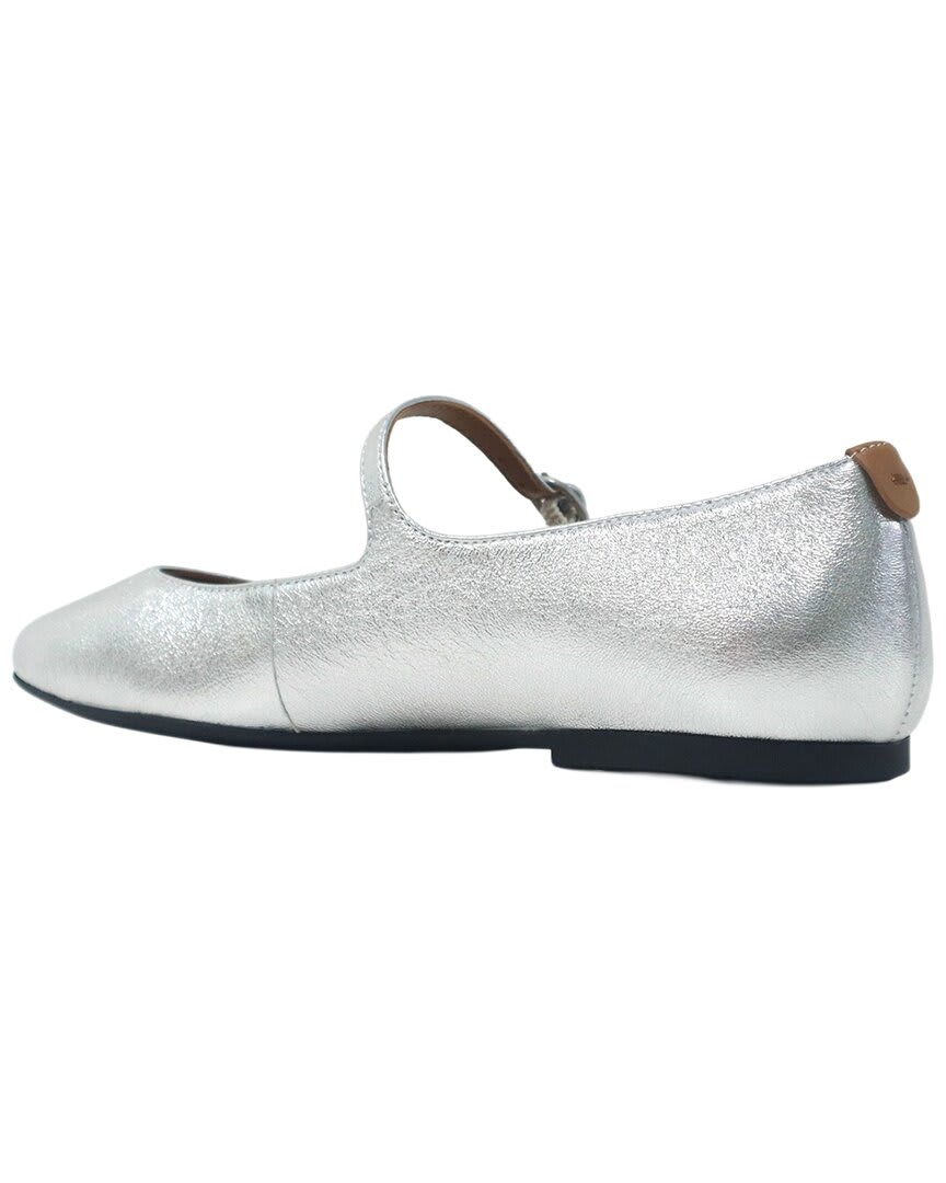 SILVER LEATHER-