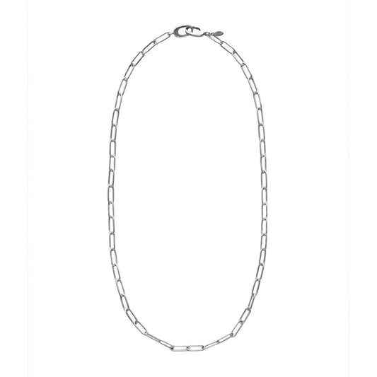Silver-