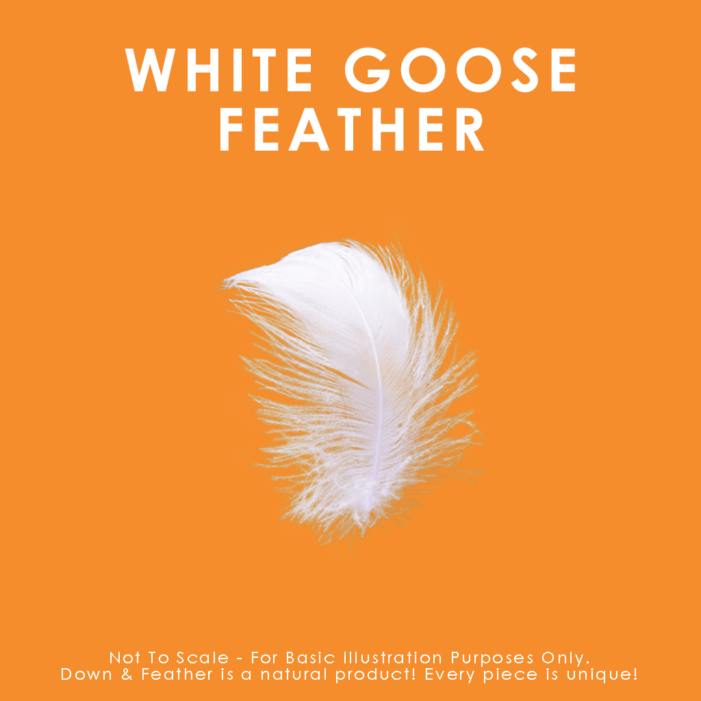 White-