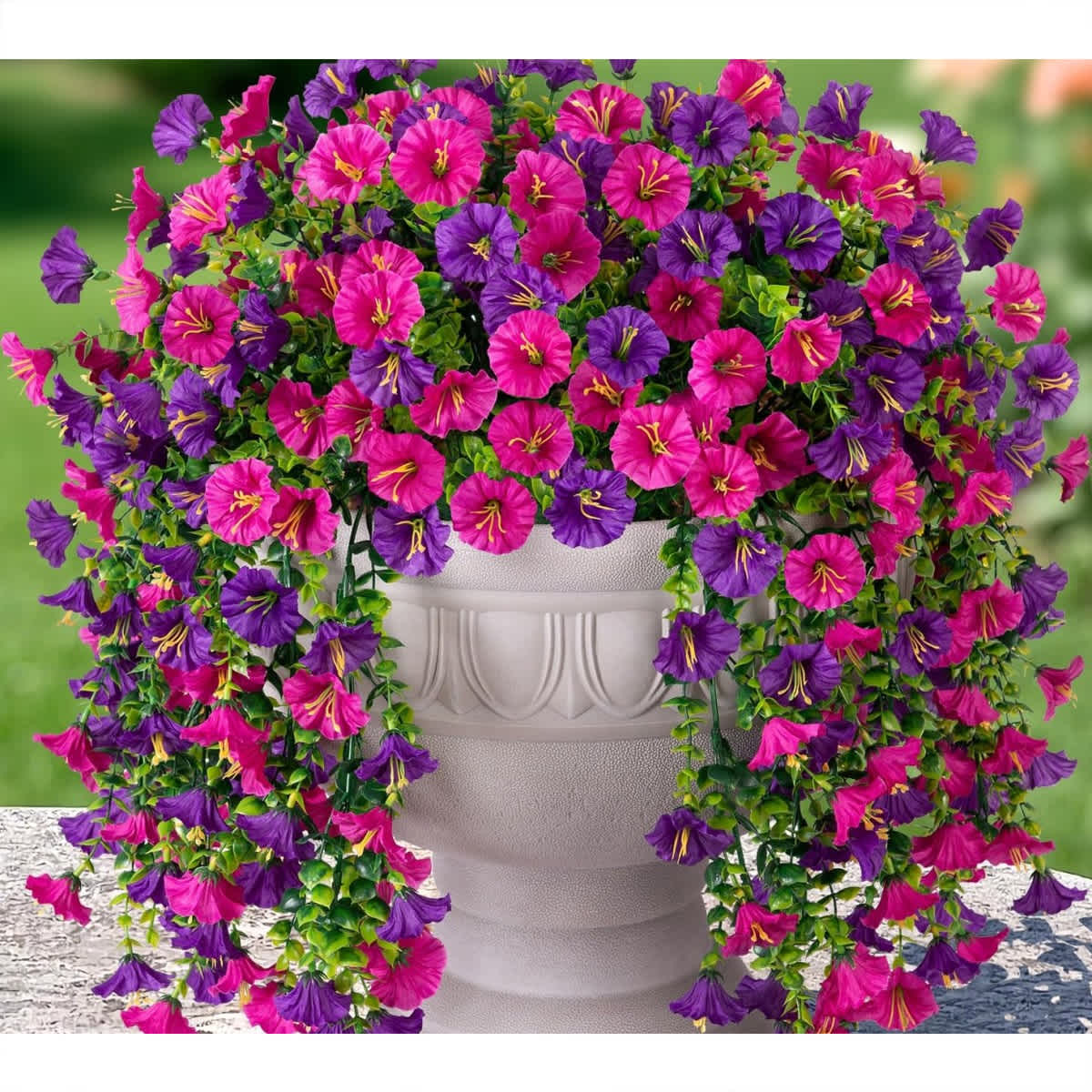 Rose Pink and Purple Mix-