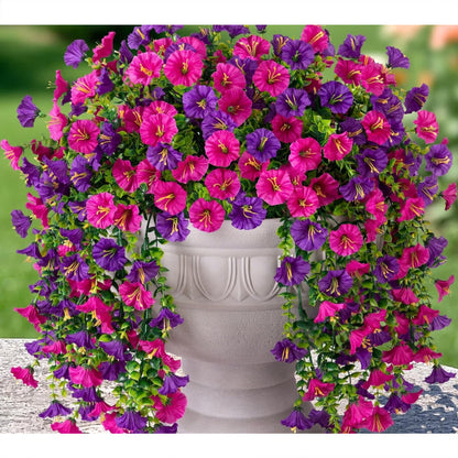 Rose Pink and Purple Mix-