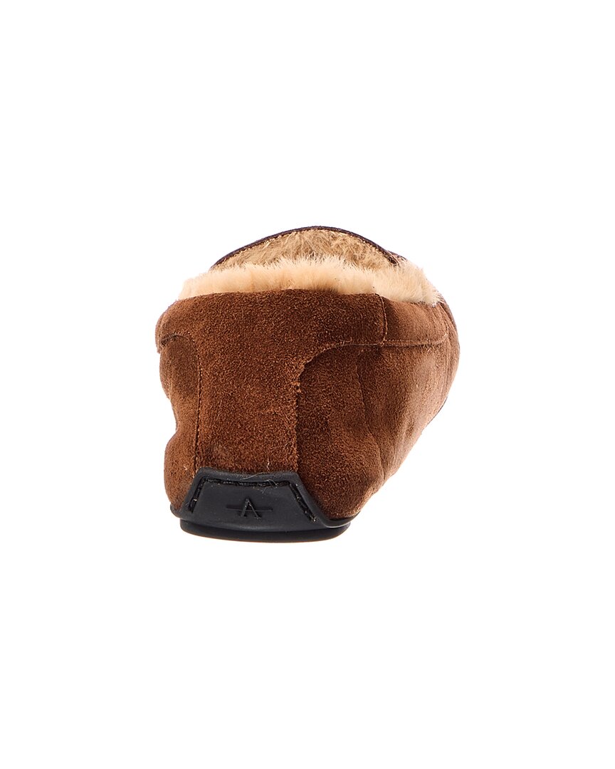 BRANDY/CAMEL-