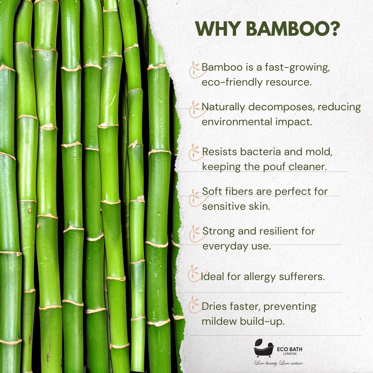 Eco Bath London Bamboo Hairbrush with Boar Bristles - Natural Sustainable Hair Care Solution - Eco Bath London