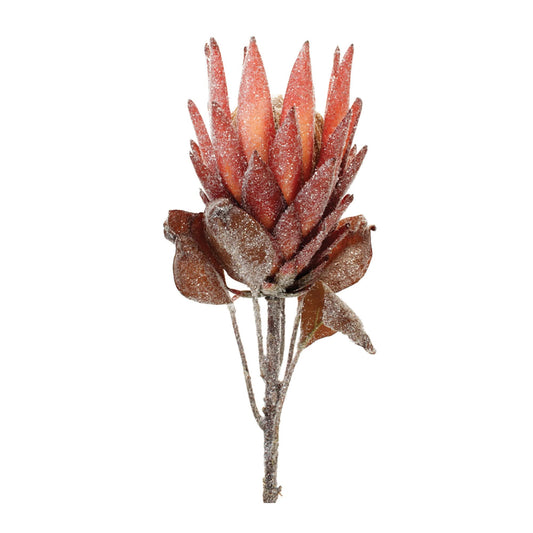 Melrose International Red Protea Flower Stem (Set of 2)