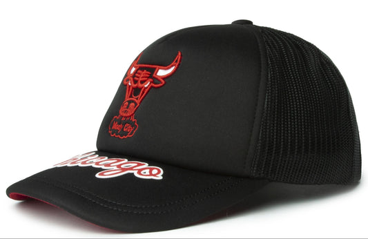 Men's Mitchell & Ness NBA Puff The Magic Trucker Hwc Bulls