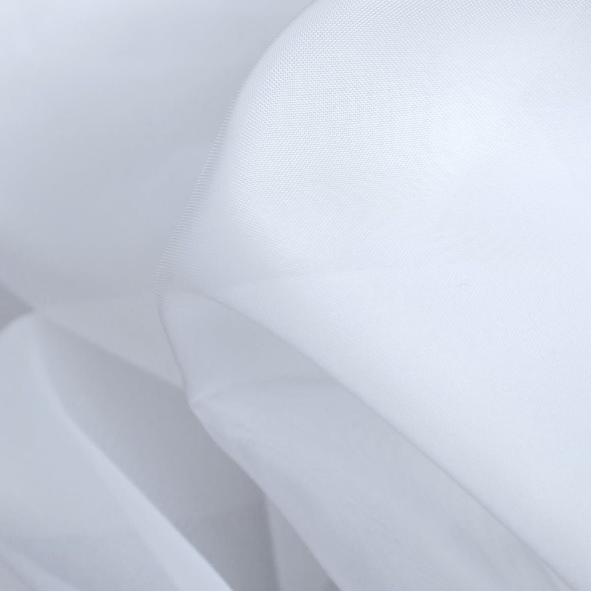 White-