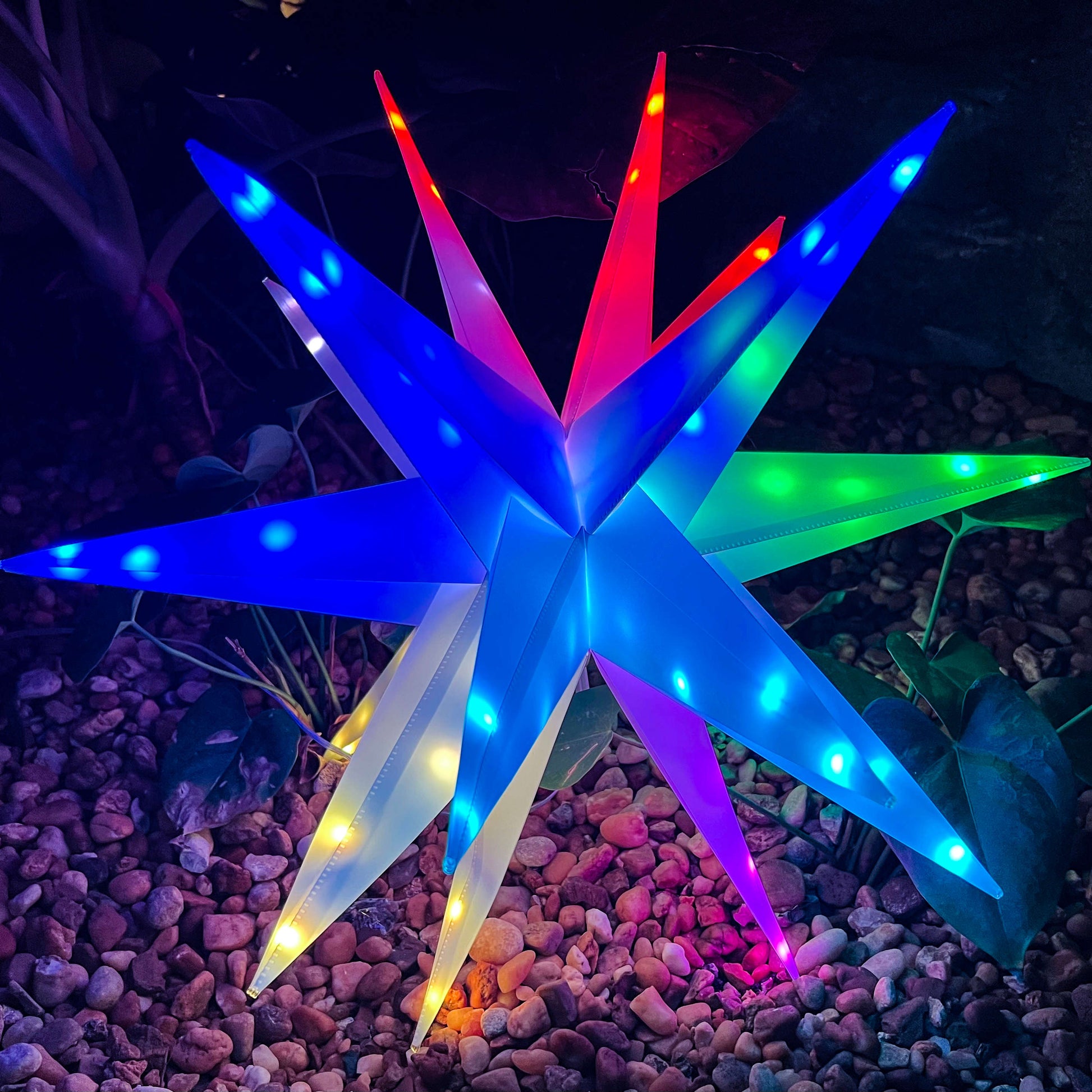 Multi color-