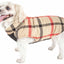 White And Red Plaid