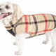 White And Red Plaid