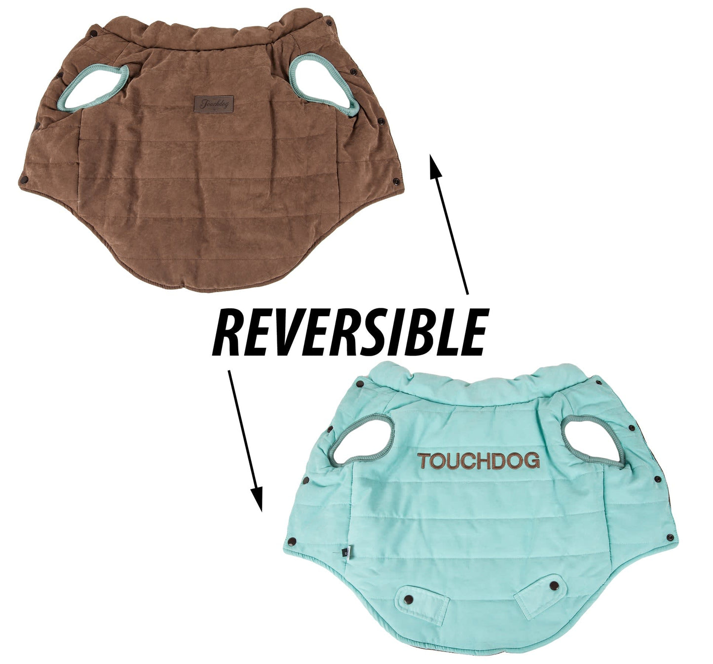 Blue / Brown-