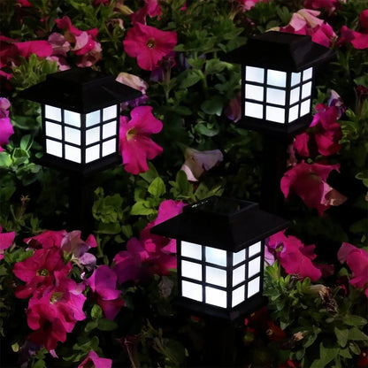 White Light-