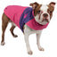 Pink, Purple