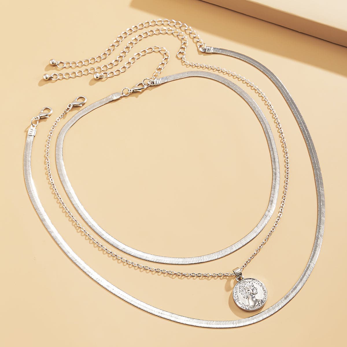 Silvertone Snake Chain Coin Pendant Necklace Set