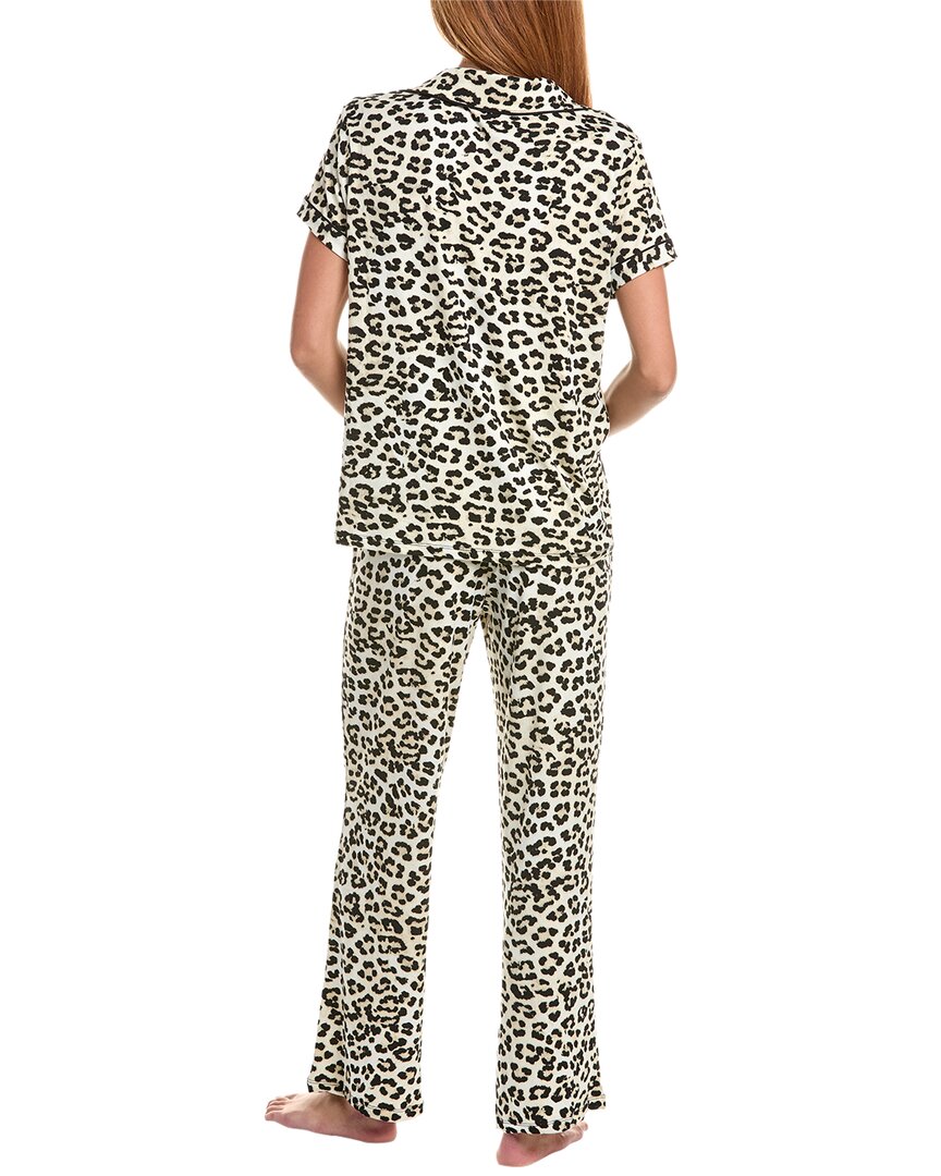 SNOW LEOPARD-