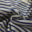 Blue Stripe