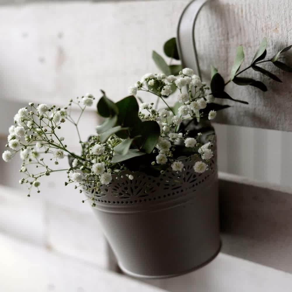 White-