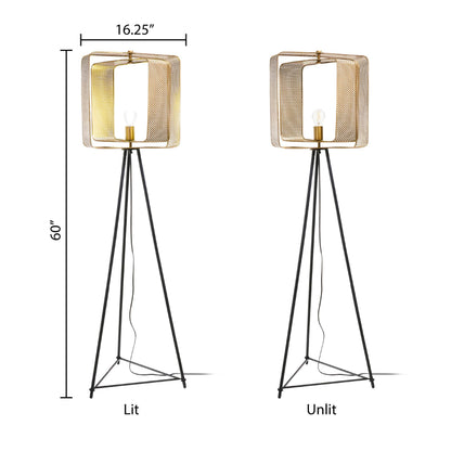 Gold/ Black-