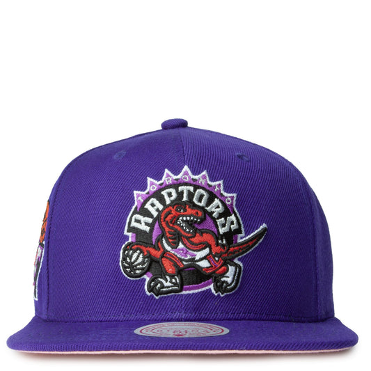 Men's Mitchell & Ness NBA All Love Snapback Hwc Raptors